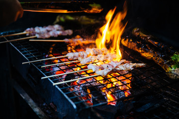 Mala Chinese BBQ grill chicken, meatballs and vegetables with Charcoal and fire. © artitwpd