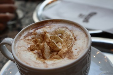 Hot chocolate with fancy whipped cream and cocoa powder on top