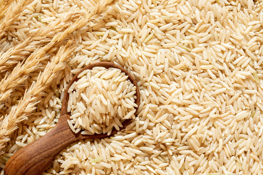 Brown rice in a wooden spoon on rice seed background