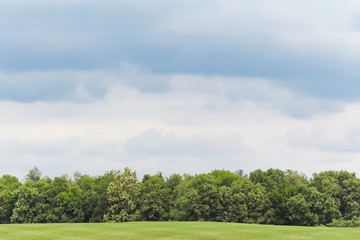 Naklejka premium green field and blue sky