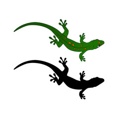 Vector Gecko & Silhouette