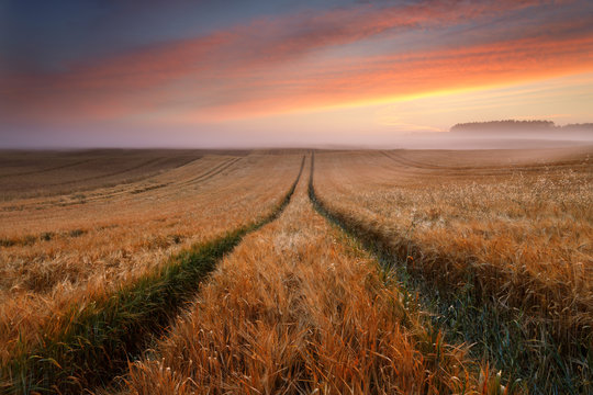 Sunrise landscape amazing scenic field. / Extraordinary photography of summer countryside view in north Poland