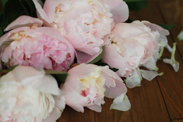Pink Peoniess Spring summer bouquet Flat Lay Wooden Background Copy space. Beautiful Pik Fresh Flowers.