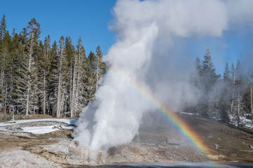 Riverside Geyser erupting with a rainbow