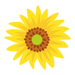 Sunflower icon