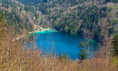 Alatsee, Bergsee in Bayern 