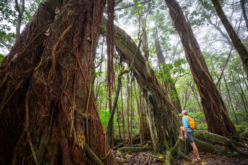 Hike in Hawaii