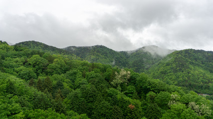 Fototapeta na wymiar Mist and cloud flow over the green mountain in rainy season.