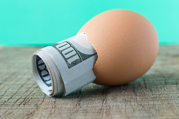 100 dollar bill in an egg shell. The concept of saving