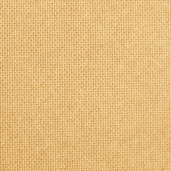 Seamless wood texture plywood background