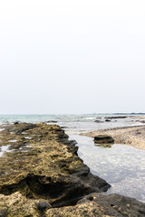Fototapeta na wymiar Hawaii beach shore with underwater rocks on a foggy day