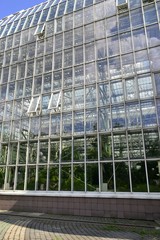 Obraz premium Открытие окна в большой теплице