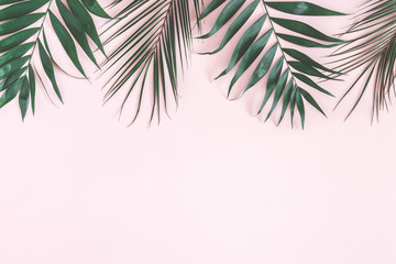 Tropical palm leaves on pastel pink background. Summer concept. Flat lay, top view, copy space