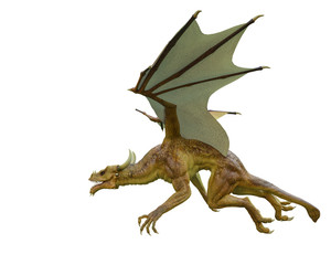 yellow dragon in a white background