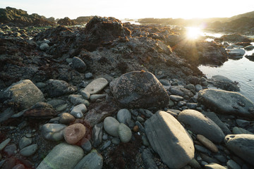 low tide tide pools exposed at sunset