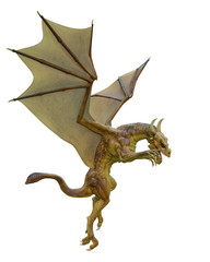 yellow dragon in a white background