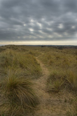 Norfolk Broads scenery beneath dark clouds