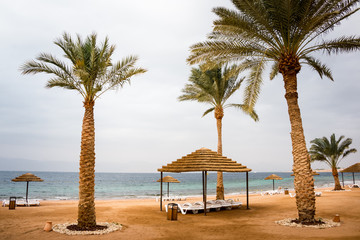 Bech with palms and umbrellas in a Windy and cloudy day