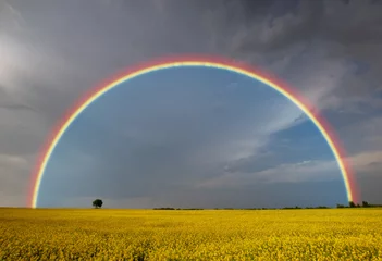 Fototapeten rainbow after a spring storm © Mike Mareen