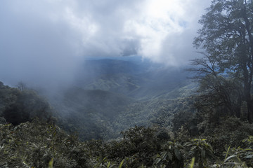 Many mountains are in the clouds and fog, and there are many trees in front.