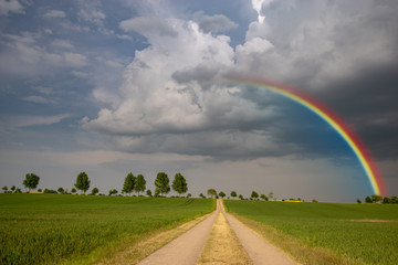 rainbow after a spring storm