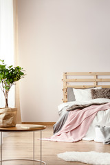 Plant on round table in simple bedroom interior with pastel sheets on bed. Real photo