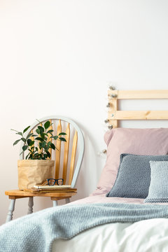 Plant on wooden chair next to bed with blue blanket in pastel bedroom interior. Real photo