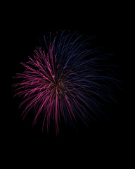Obraz premium Pink and blue traces of firework explosion isolated on black