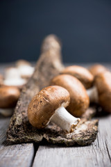 Fresh mushrooms on the rustic wooden background. Selective focus. Shallow depth of field.