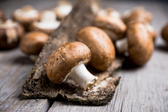 Fresh mushrooms on the rustic wooden background. Selective focus. Shallow depth of field.