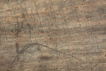 old wooden board with traces of bark beetles