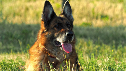 OLYMPUS DIGITAL CAMERA © martagro