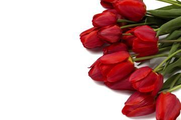 Spring time. Beautiful red tulips on a white background. Top View, Flat lay.