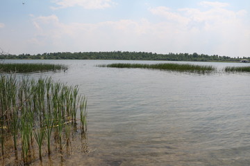 Schladitzer lake near Leipzig, Germany 