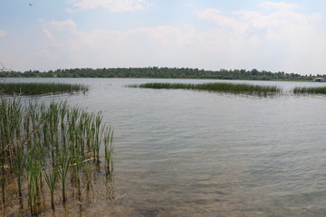 Obraz na płótnie Canvas Schladitzer lake near Leipzig, Germany 