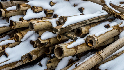 Freshly cut pile of Bamboo with snow on them for background