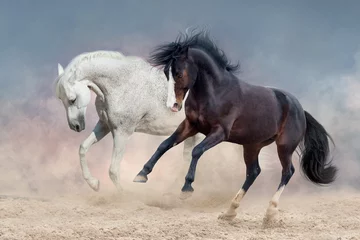 Keuken spatwand met foto Horse herd free run in dust © kwadrat70