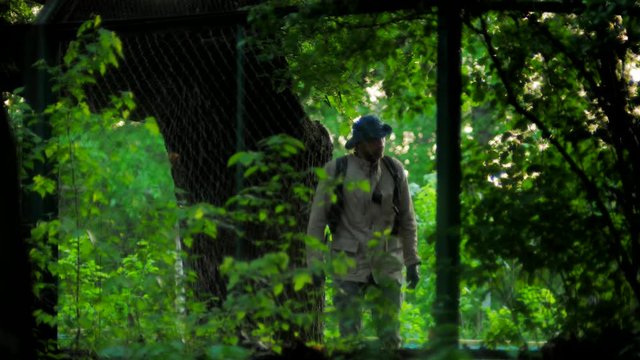 Ranger walking around parkan and looks for footprints in the national guardian park