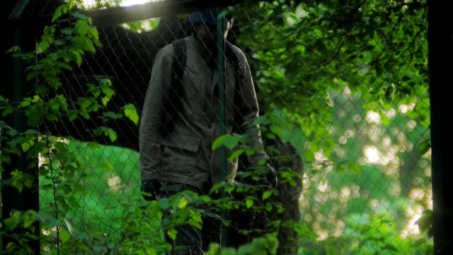 Traveler standing near parkan in the summer wood and looks around 