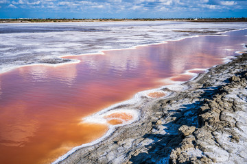 Abandoned salt beach with incredible beautiful iron red color bittern, only can be seen in drought time in Tainan Taiwan.