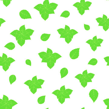 pattern with mint on white