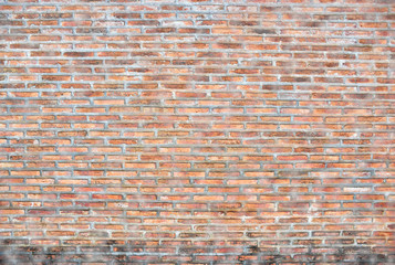 The dirty old red brick wall.