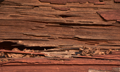 Old wood have been ate by drywood termite cause wood is decadent.