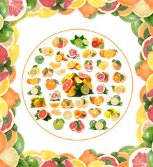 Fresh citrus fruit