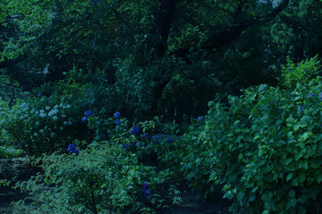 ナイトガーデン