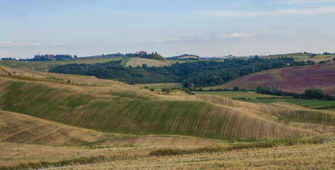 Fototapeta na wymiar Tuscany landscape, Italy