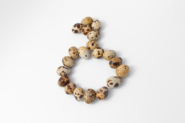 eggs quail spotted small on white background.