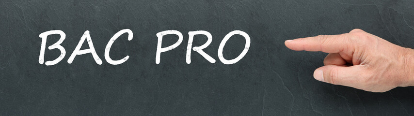 Bac Pro, Baccalaur&eacute;at professionnel