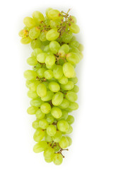 grape green isolated on white background