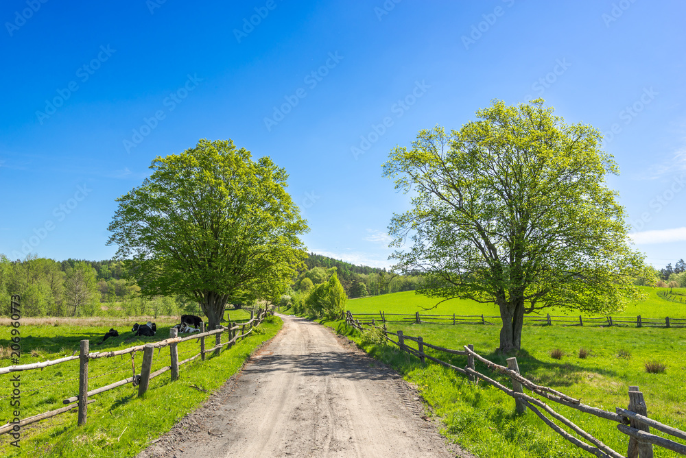 Wall mural rural countryside and farm landscape with country road